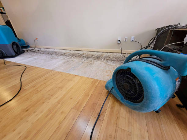 Professional Sewage Cleanup technician working in Gardner, MA